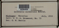 Image Associated With the Occurence